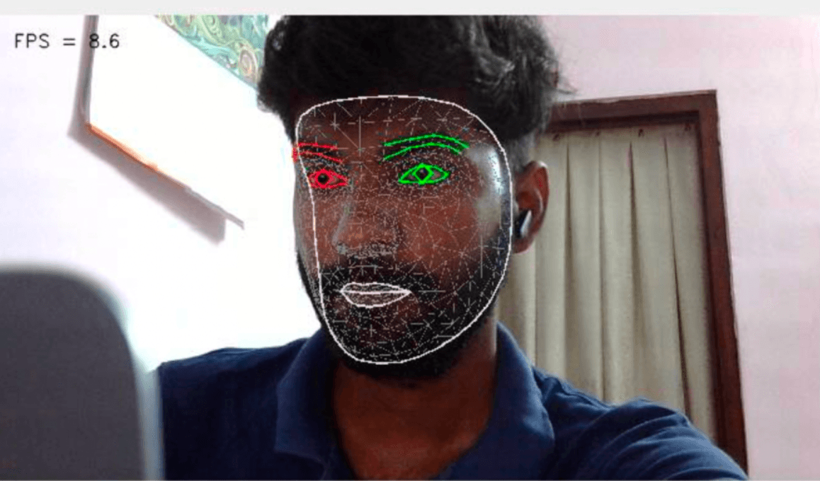 Facial landmark detection